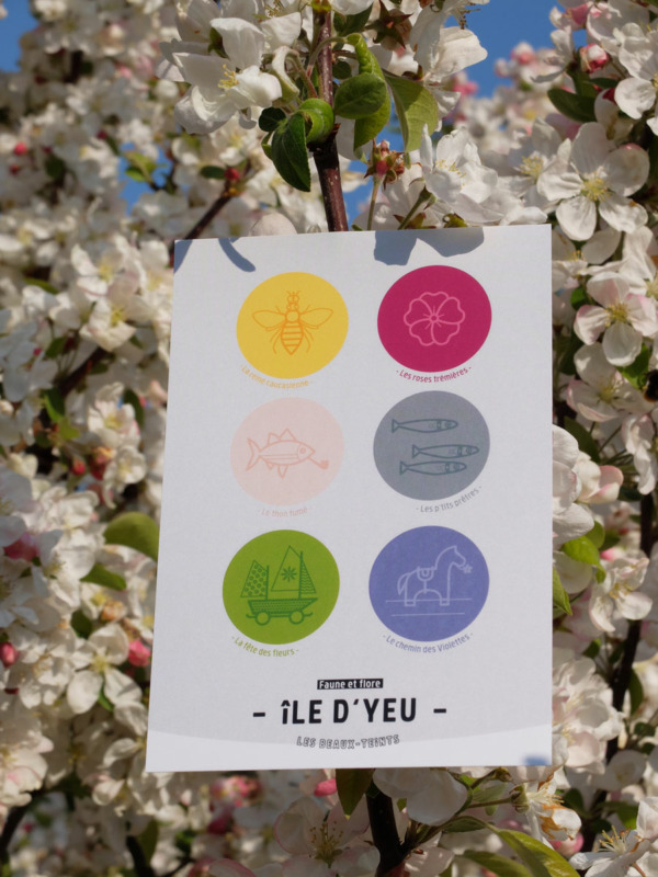 Carte postale La faune et la flore de la collection de l'île d'Yeu par Les Beaux-Teints